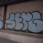 IMG_4101